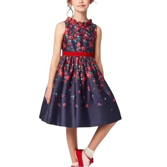 American Girl X Janie And Jack Wrapped In Roses Party Dress Size 2